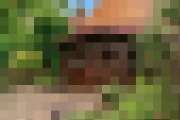 Kerkweg 30 Puth thumbnail 34