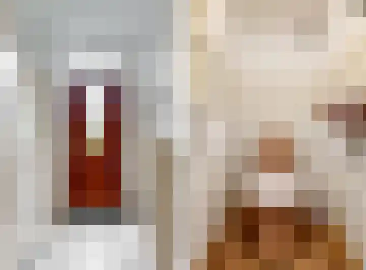 Kerkweg 30 Puth thumbnail 4