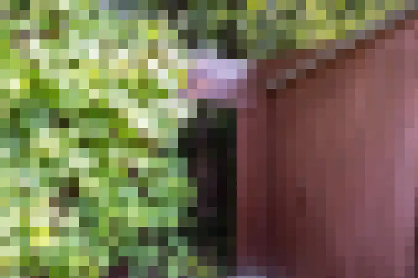 Kerkweg 33 Kockengen thumbnail 31