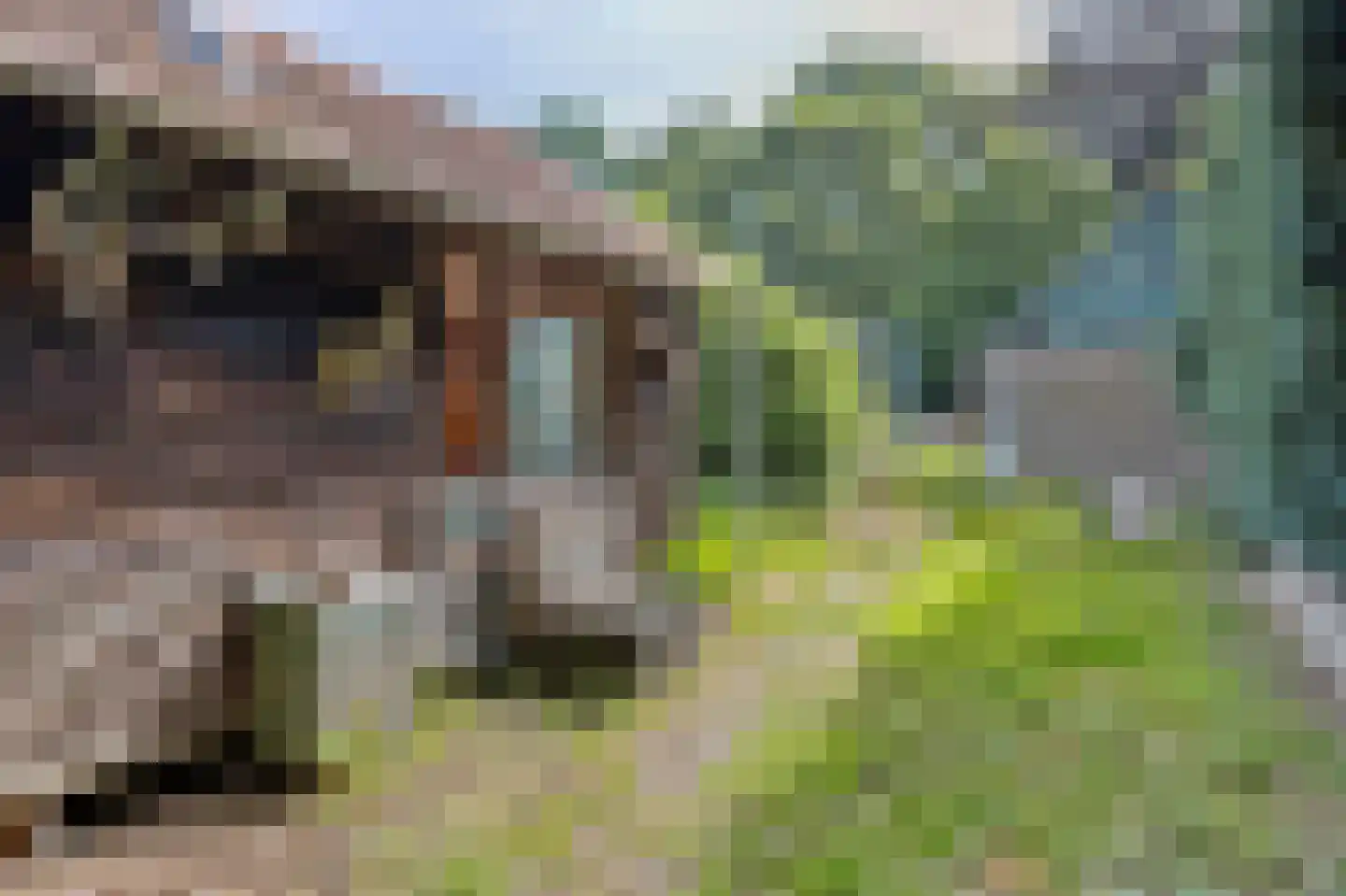 Kerkweg 33 Maria Hoop thumbnail 47