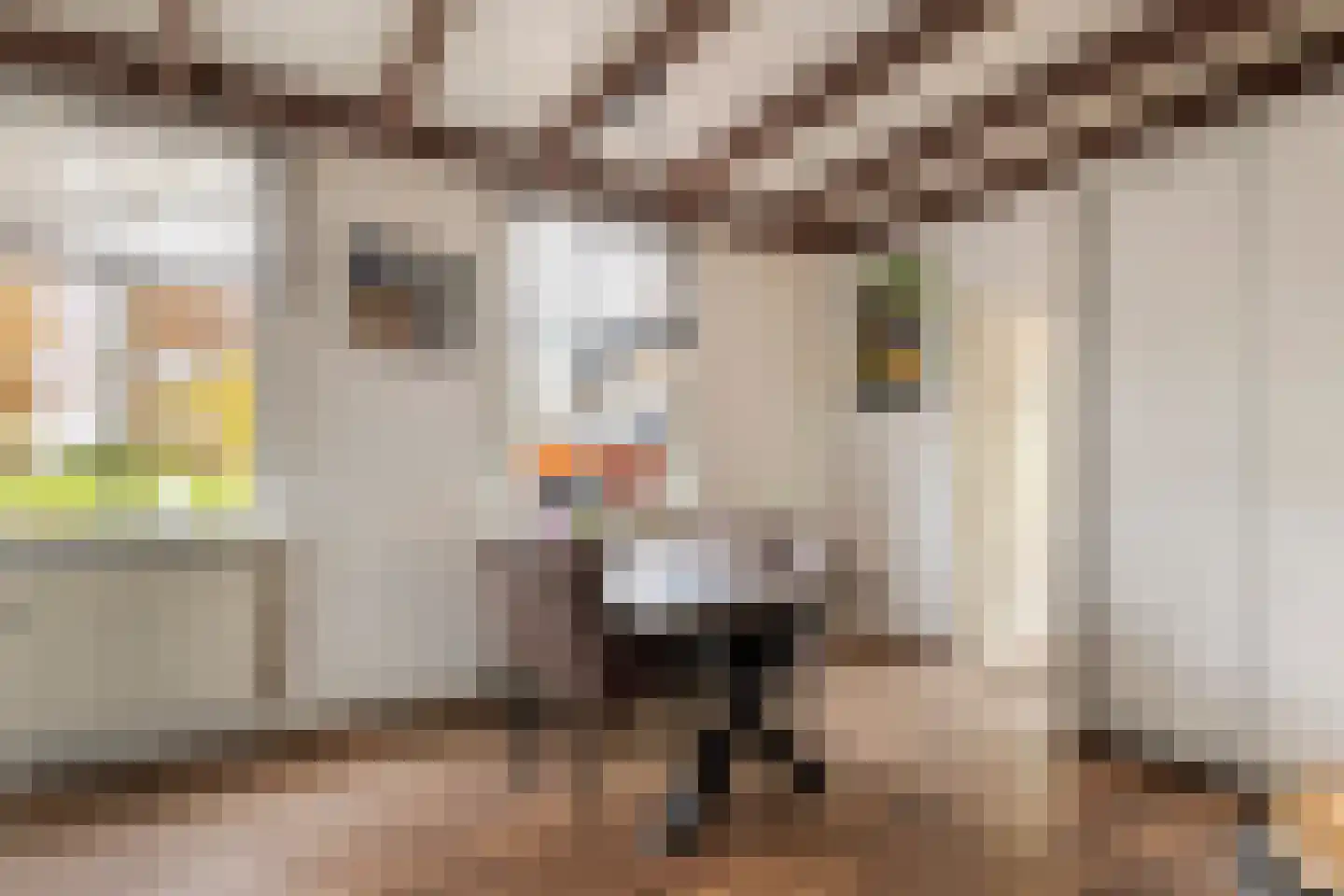 Kerkweg 34 A Leerbroek thumbnail 10