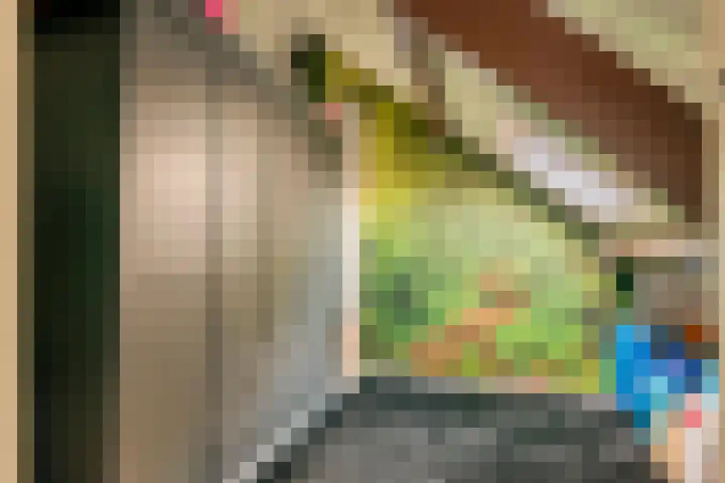 Kerkweg 34 A Leerbroek thumbnail 23