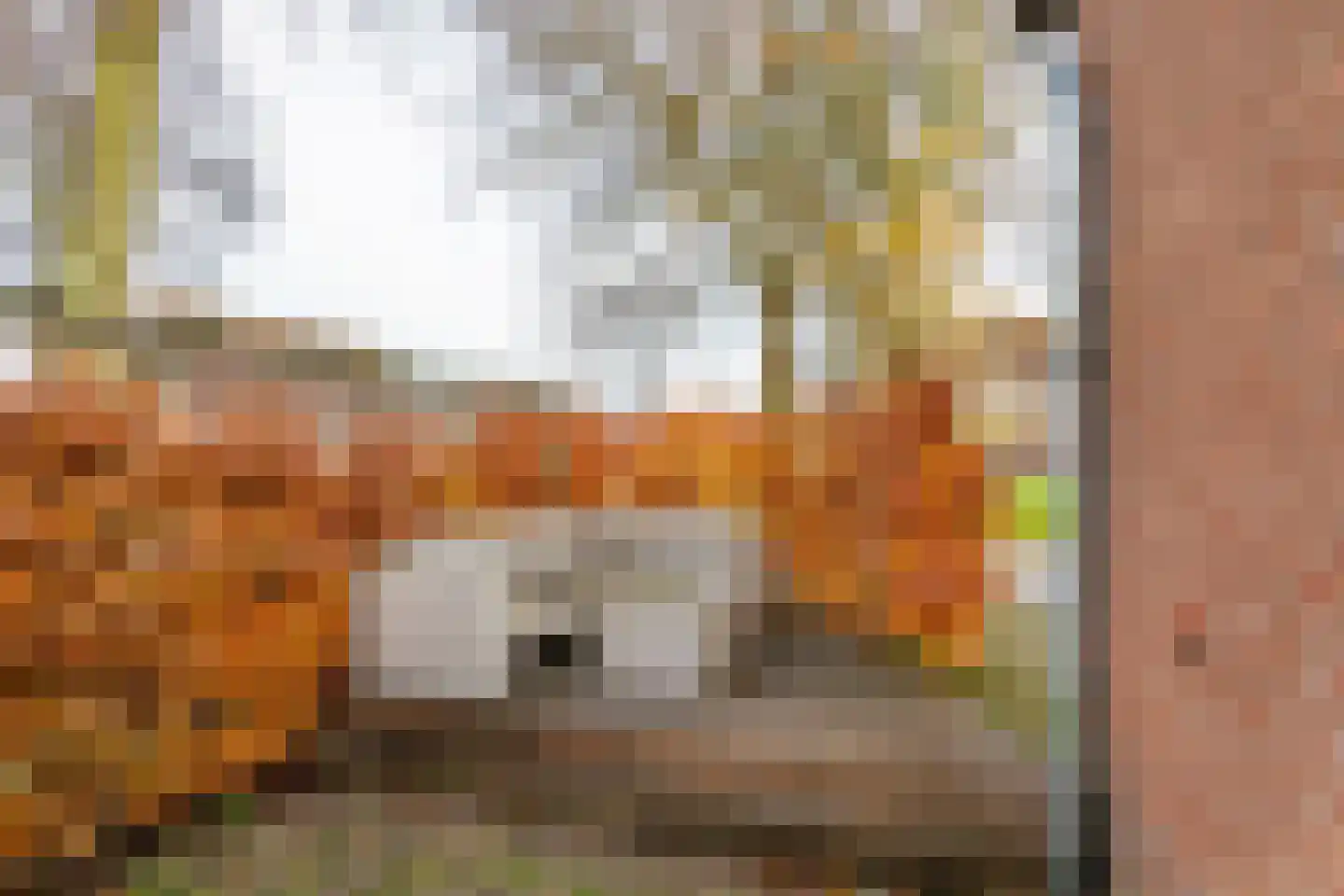 Kerkweg 34 A Leerbroek thumbnail 28
