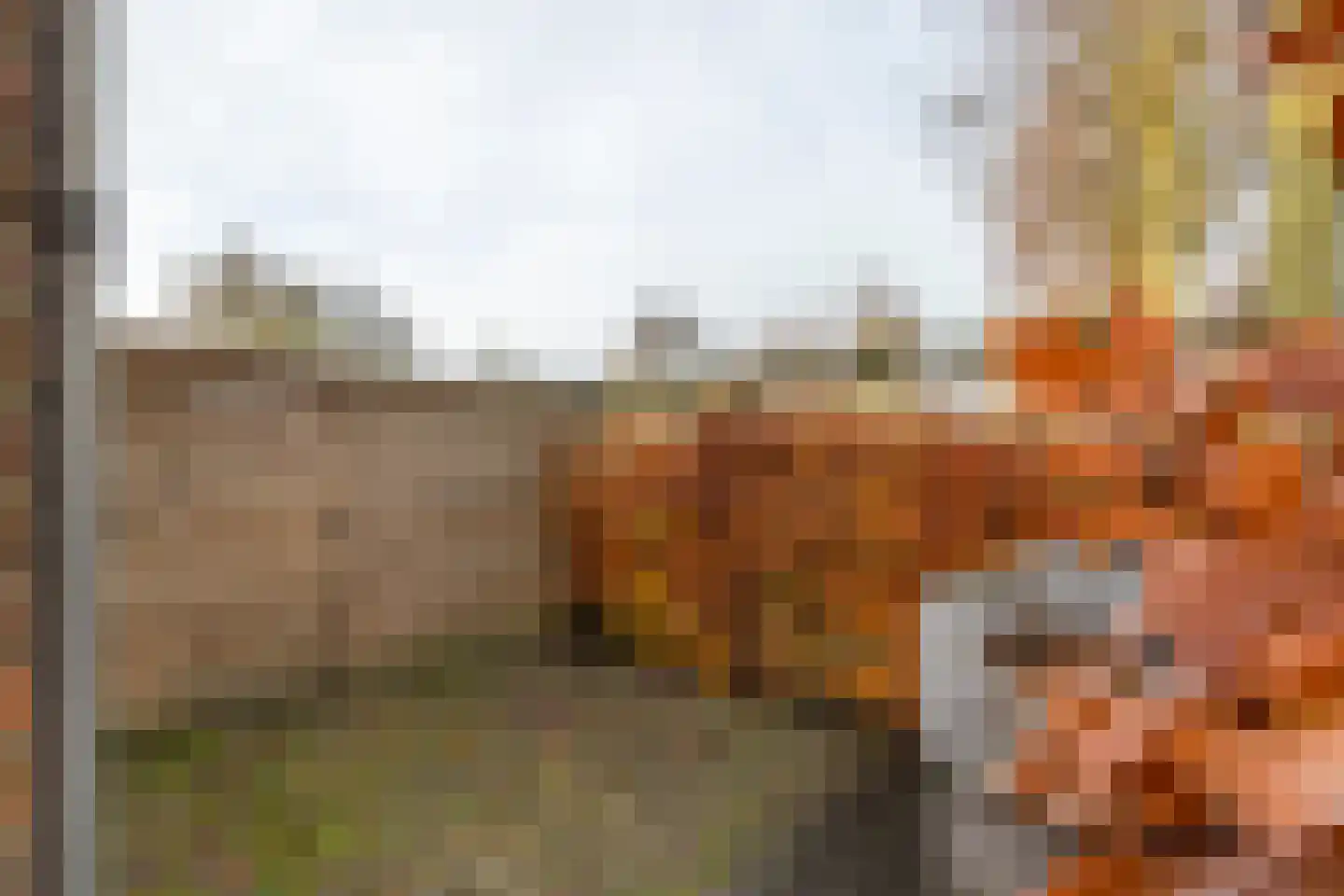 Kerkweg 34 A Leerbroek thumbnail 29
