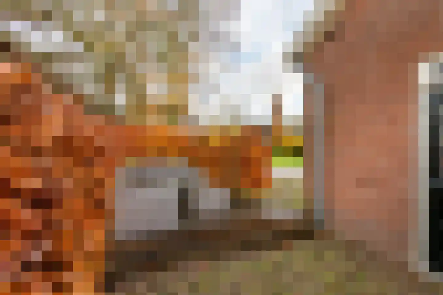 Kerkweg 34 A Leerbroek thumbnail 30