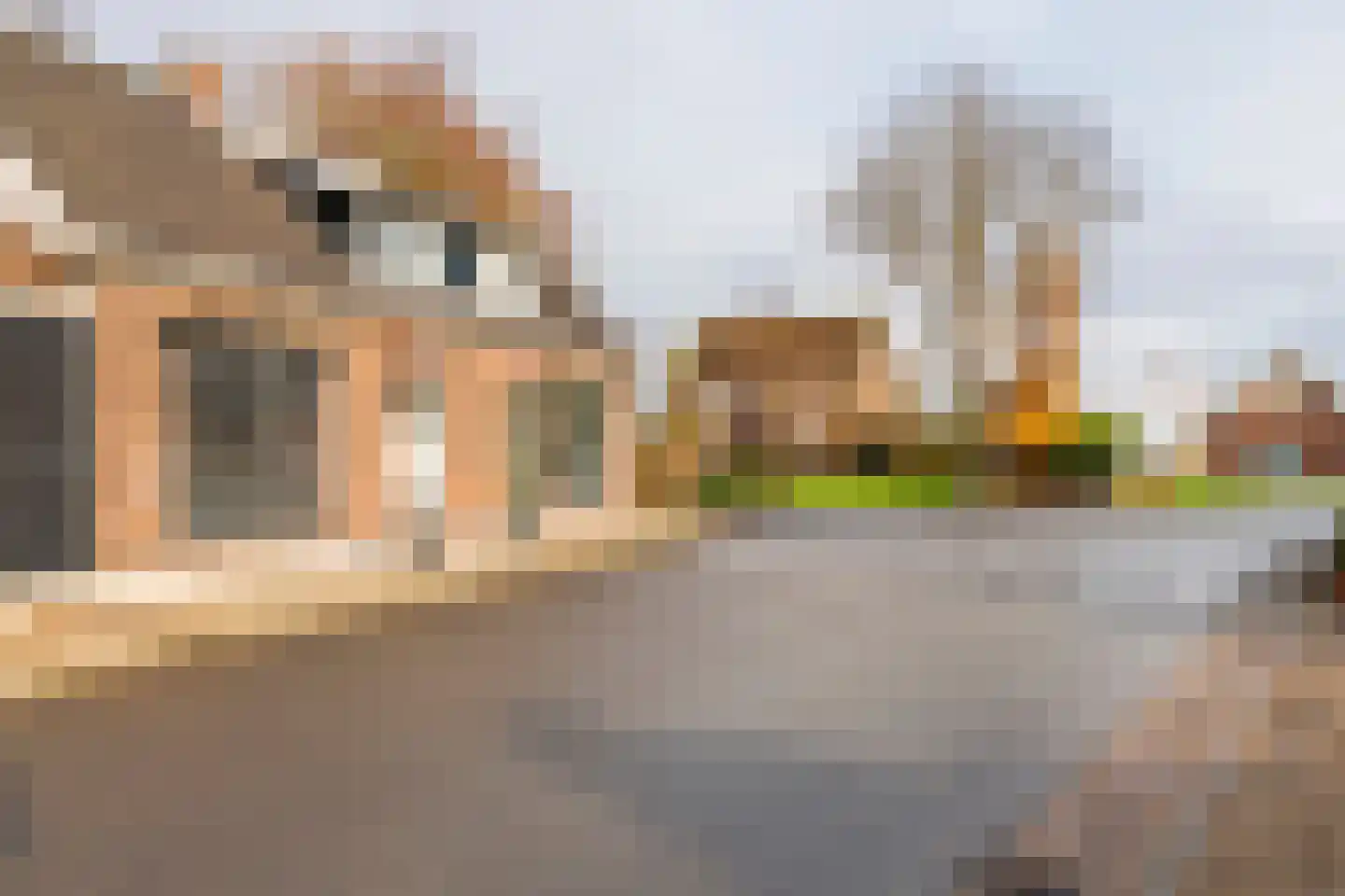 Kerkweg 34 A Leerbroek thumbnail 36