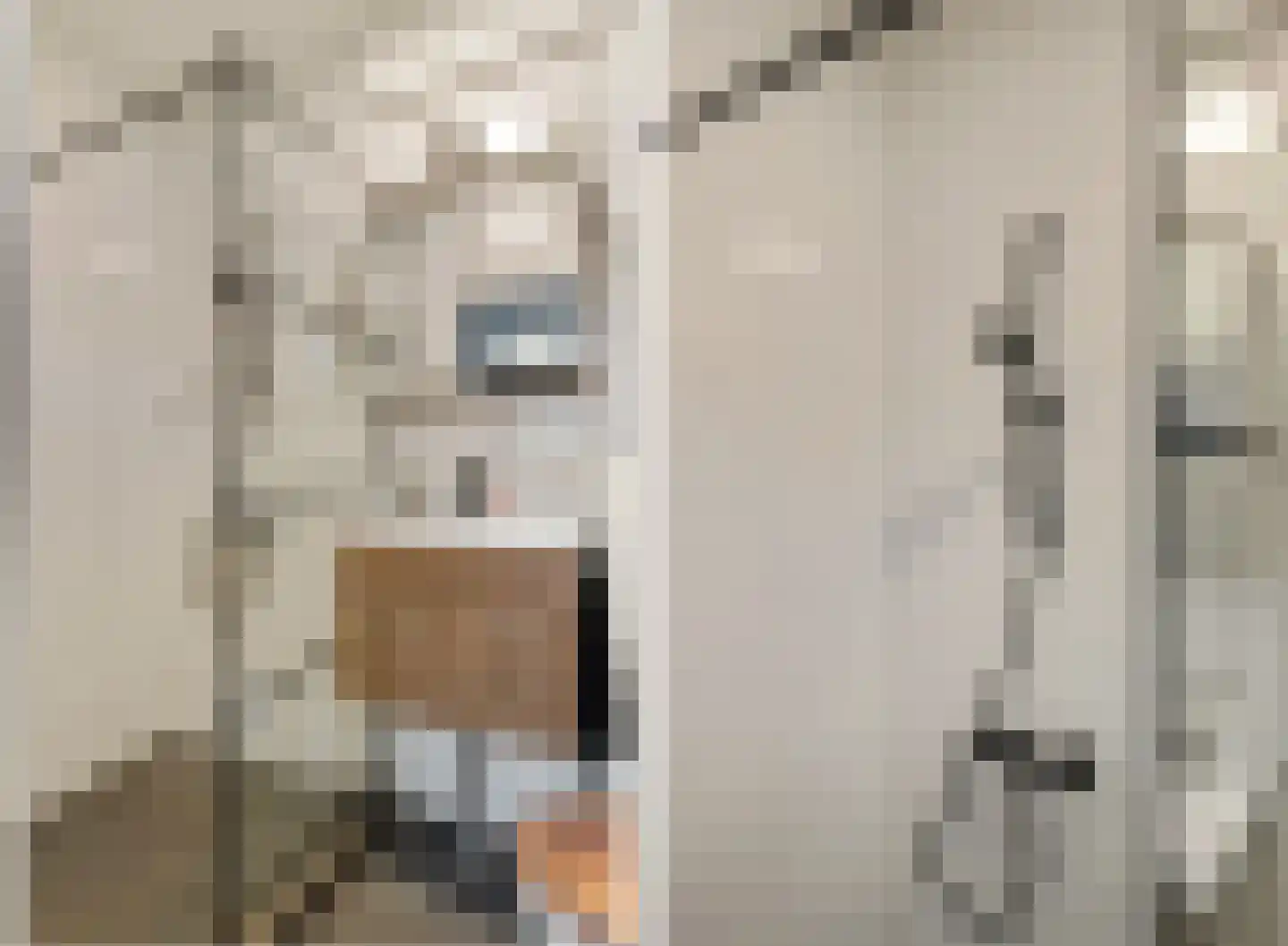 Kerkweg 34 A Leerbroek thumbnail 8
