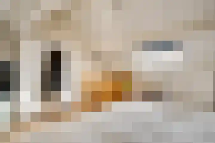 Kerkweg 34 Meerssen thumbnail 14