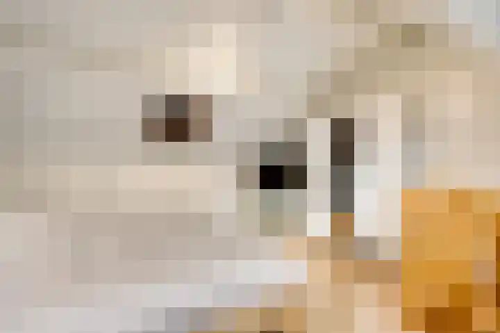 Kerkweg 34 Meerssen thumbnail 15