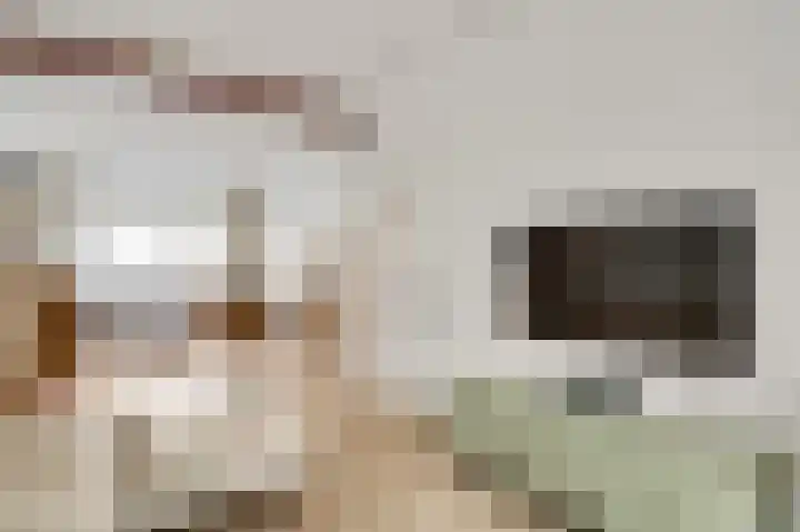 Kerkweg 34 Meerssen thumbnail 6