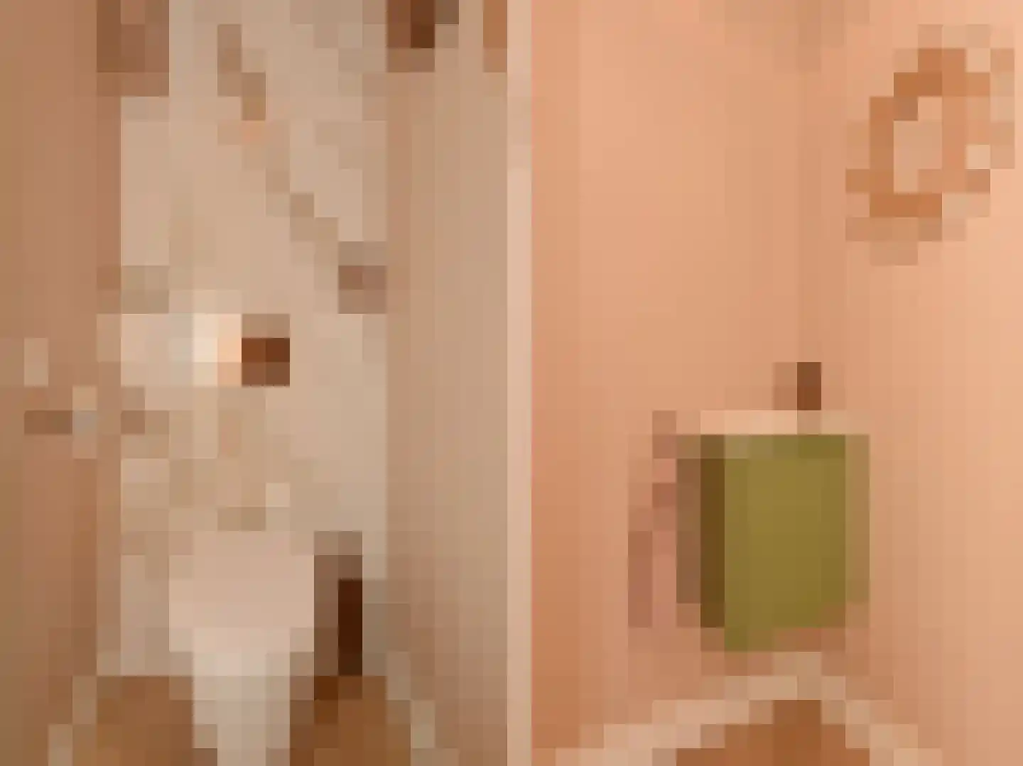 Kerkweg 34 Nootdorp thumbnail 13