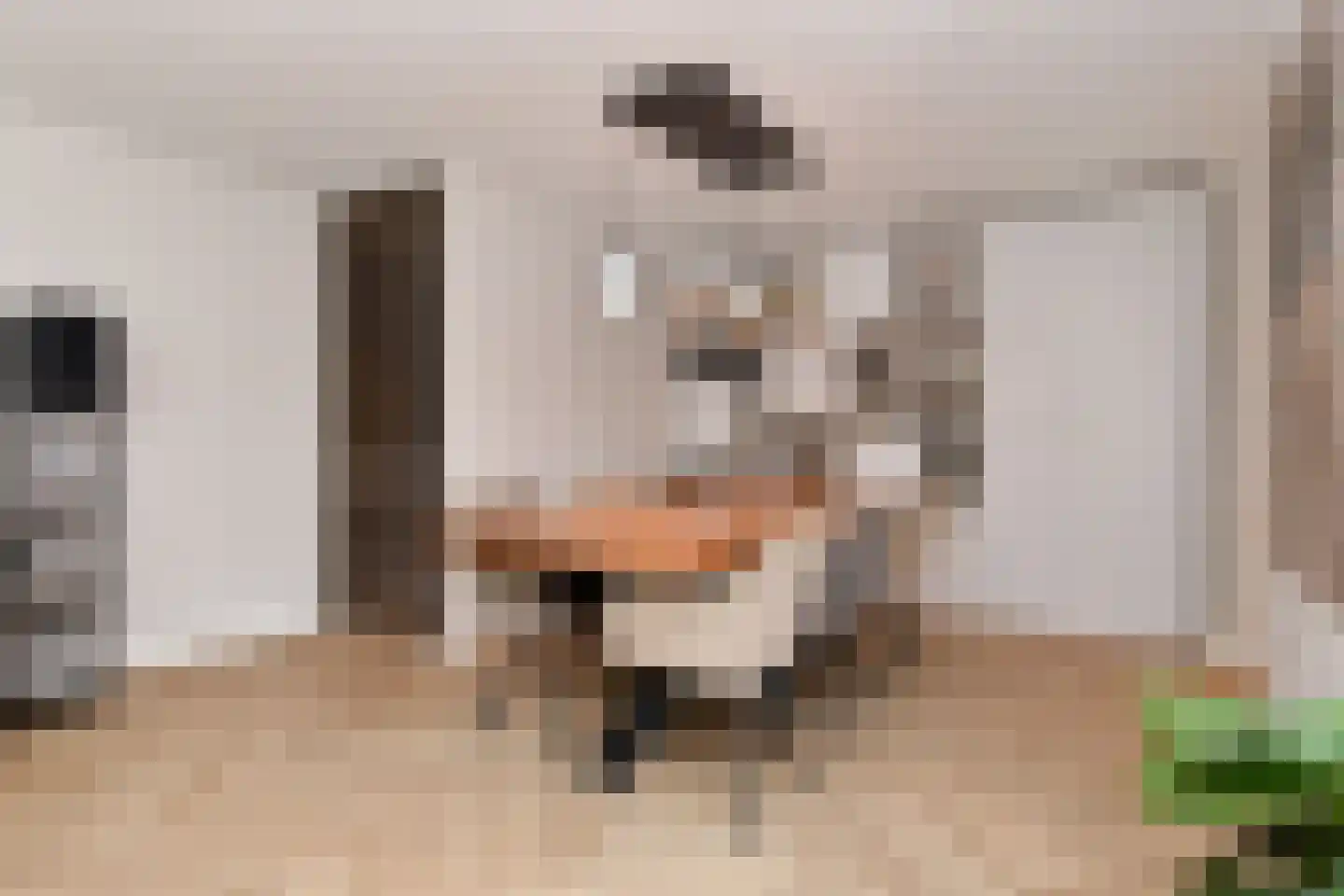 Kerkweg 34 Nootdorp thumbnail 16