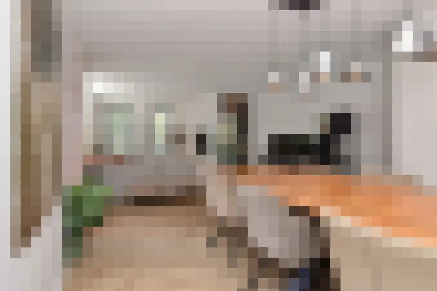 Kerkweg 34 Nootdorp thumbnail 31