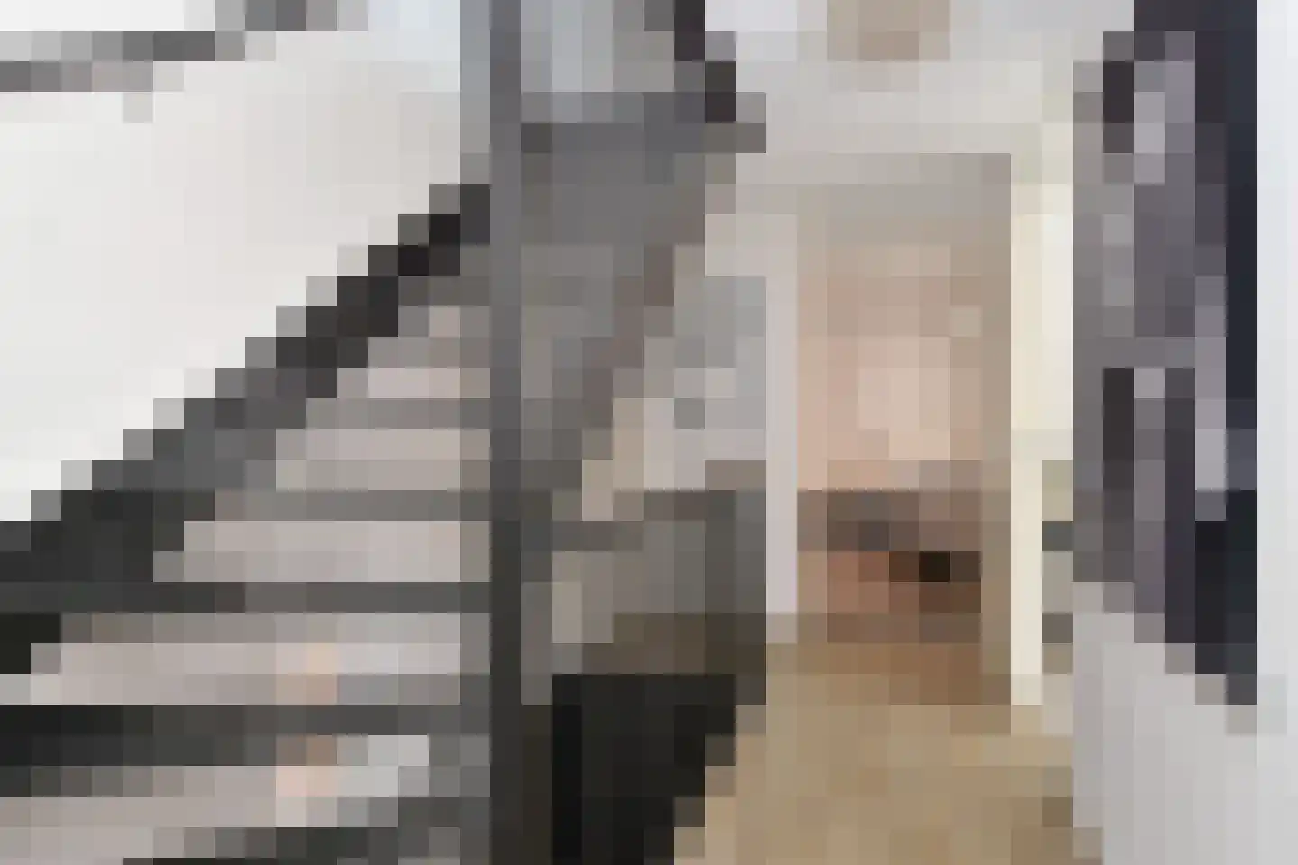 Kerkweg 34 Nootdorp thumbnail 32