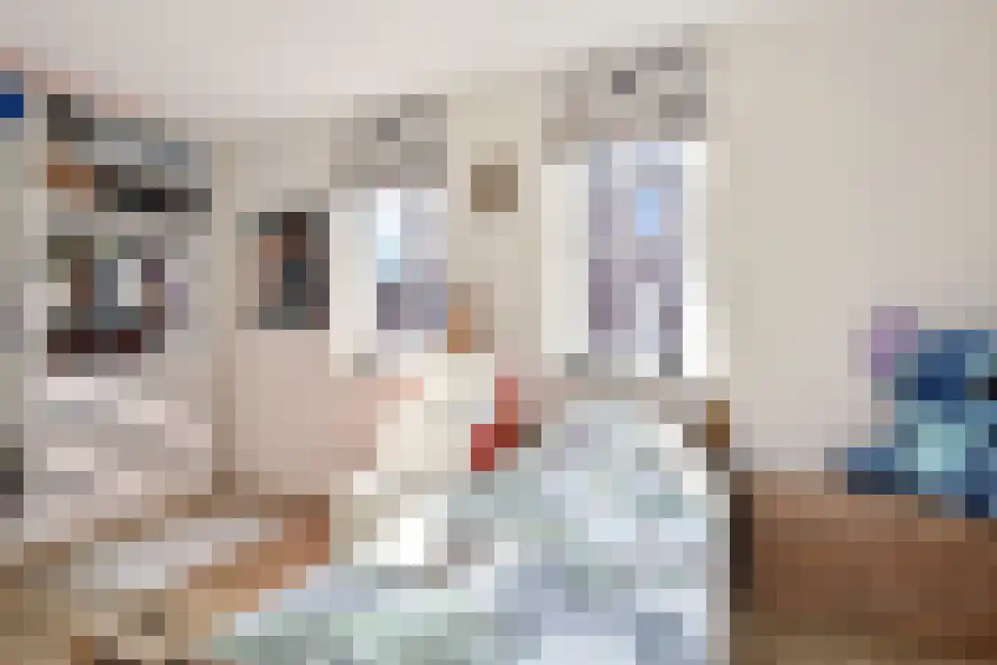Kerkweg 34 Nootdorp thumbnail 40