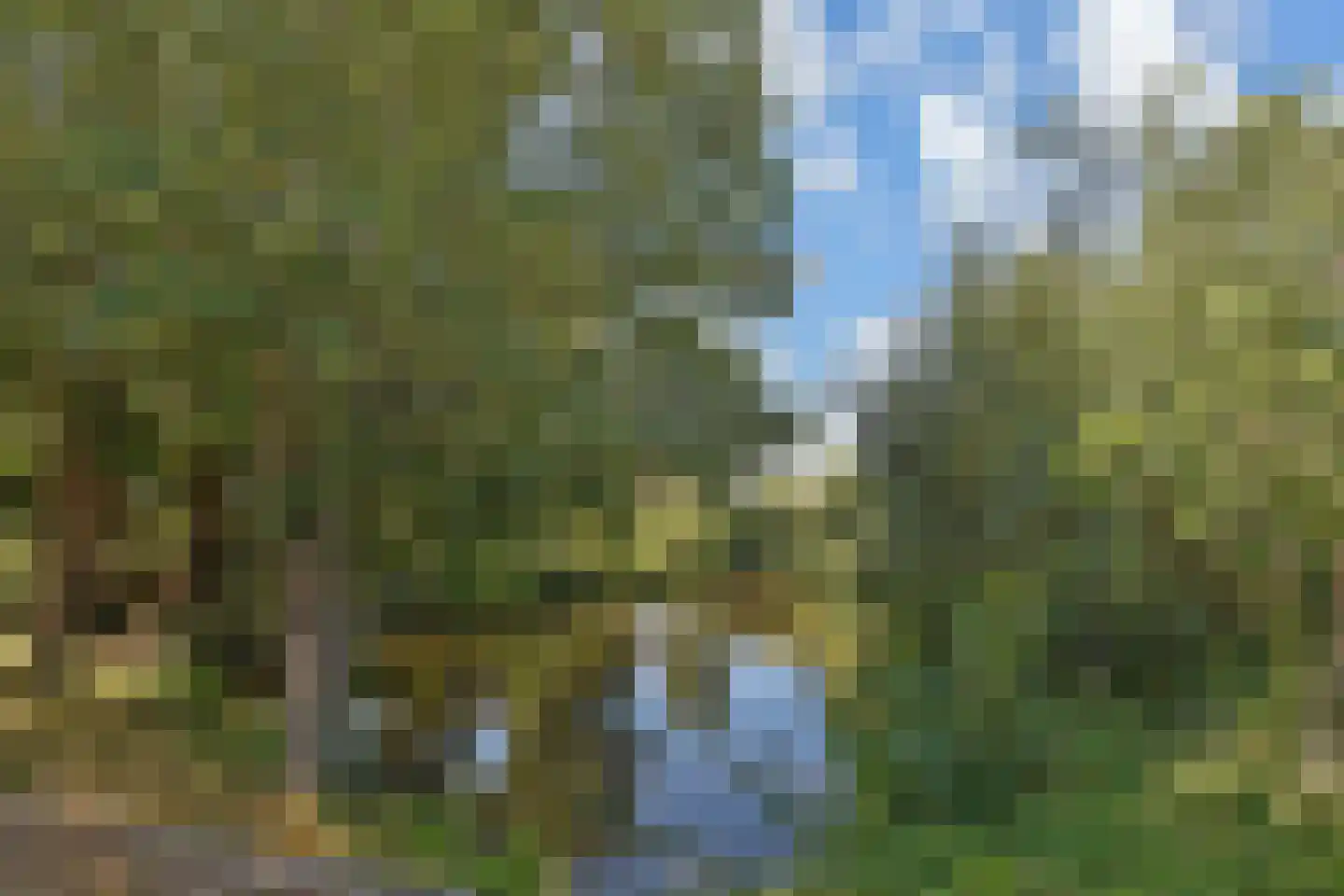 Kerkweg 34 Nootdorp thumbnail 60