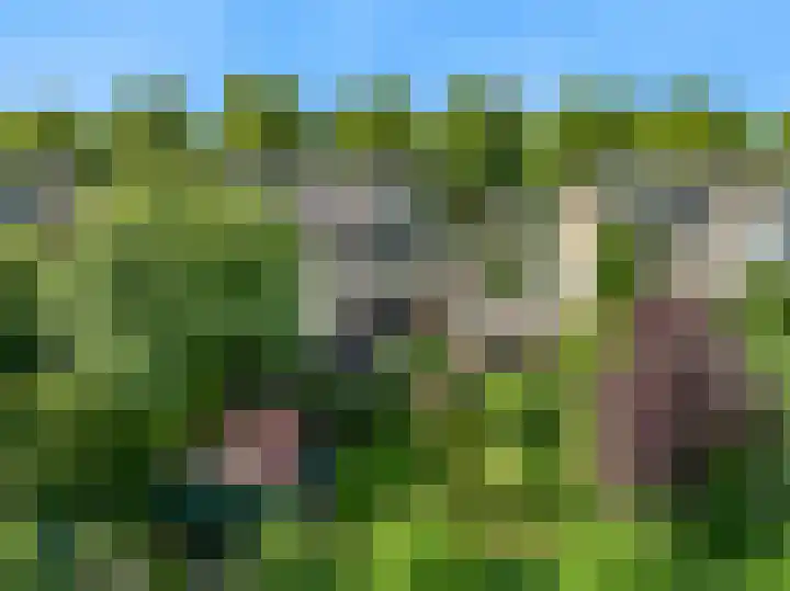 Kerkweg 35 Limmen thumbnail 47