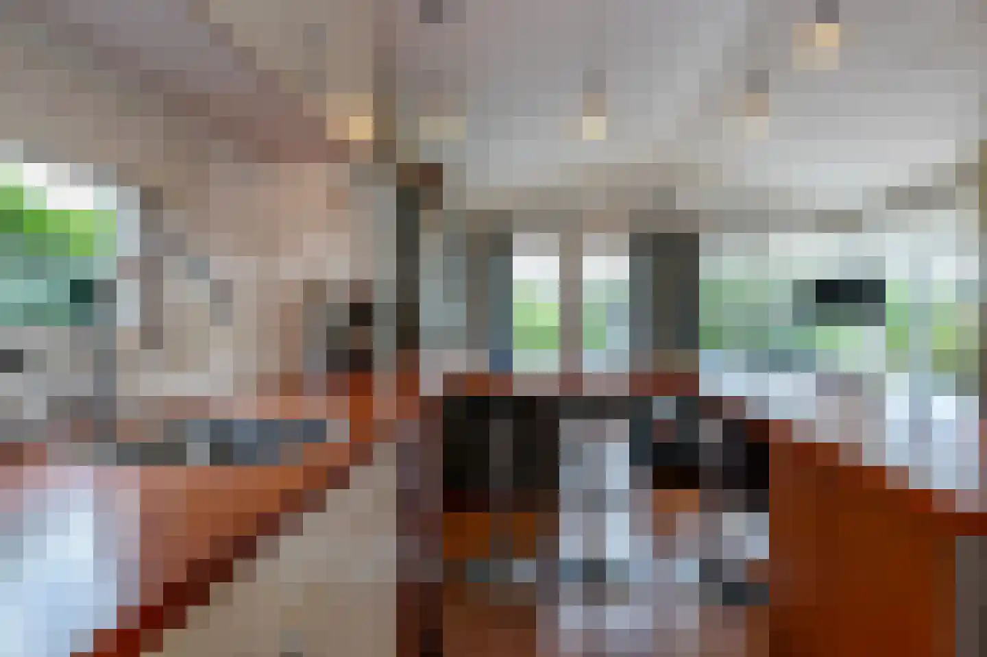 Kerkweg 35 R 6 Giethoorn thumbnail 14