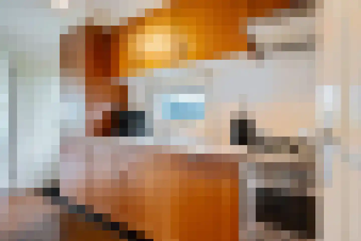Kerkweg 35 R 9 Giethoorn thumbnail 14