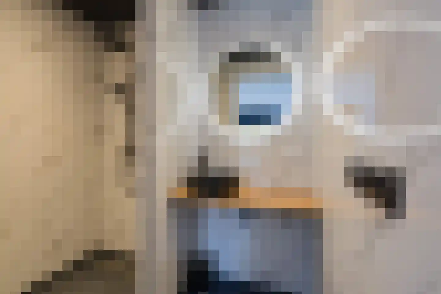 Kerkweg 36 Woubrugge thumbnail 27