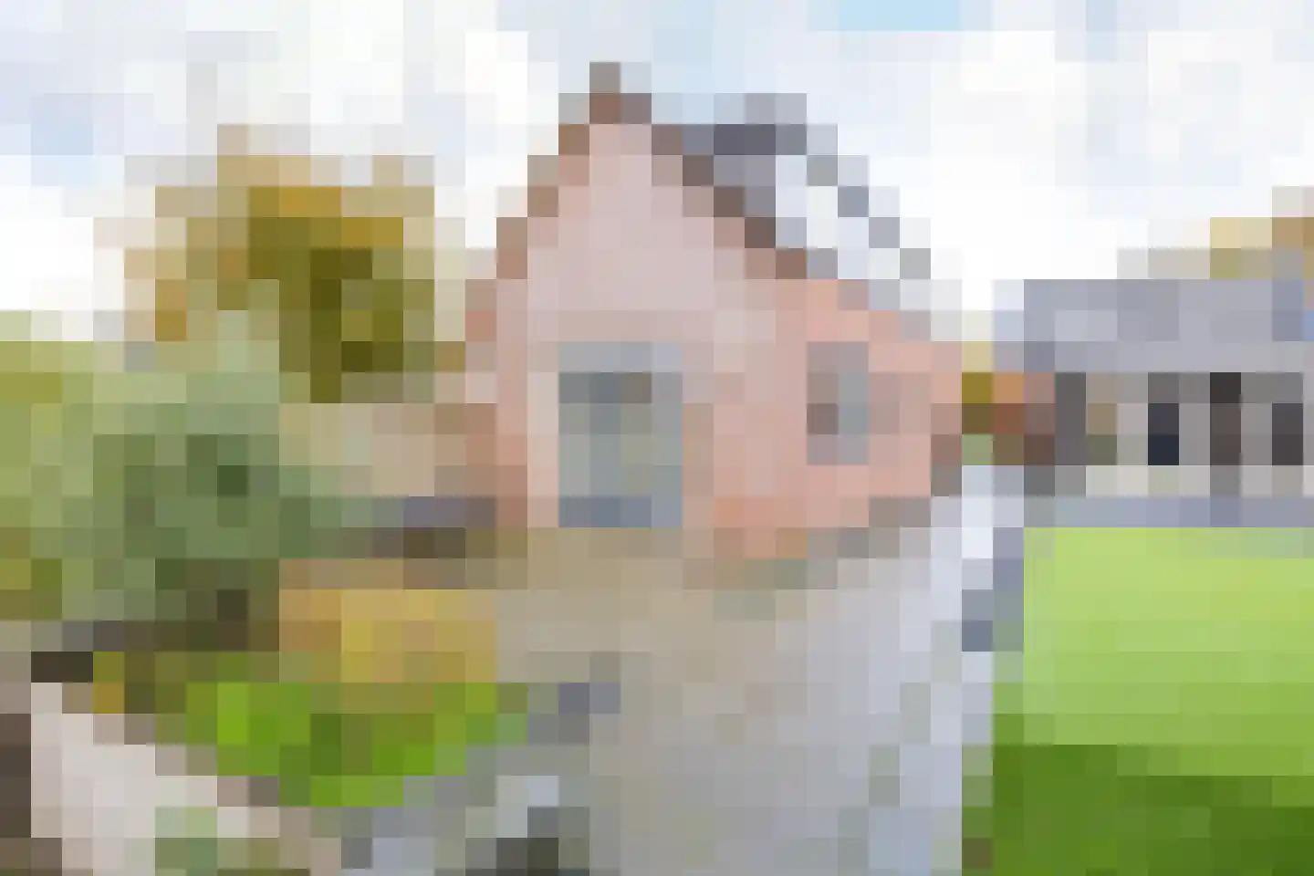Kerkweg 36 Woubrugge thumbnail 64