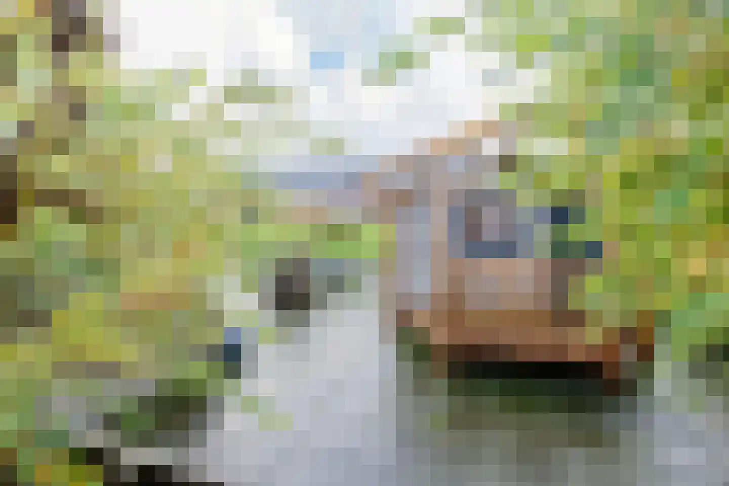 Kerkweg 36 Woubrugge thumbnail 65
