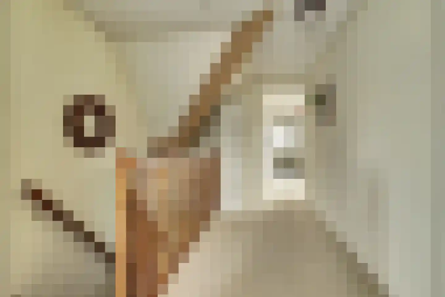 Kerkweg 37 Everdingen thumbnail 26