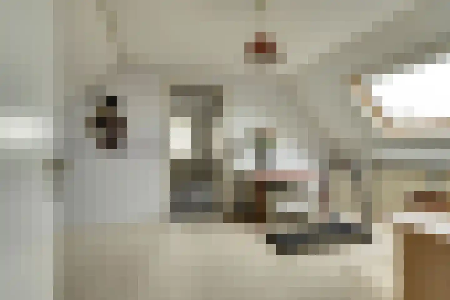 Kerkweg 37 Everdingen thumbnail 39