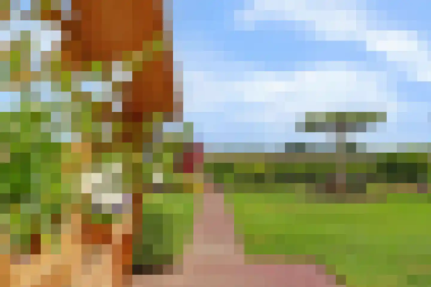 Kerkweg 37 Everdingen thumbnail 54