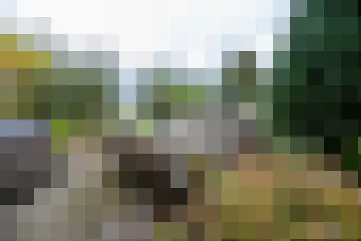 Kerkweg 37 Ter Aar foto 2
