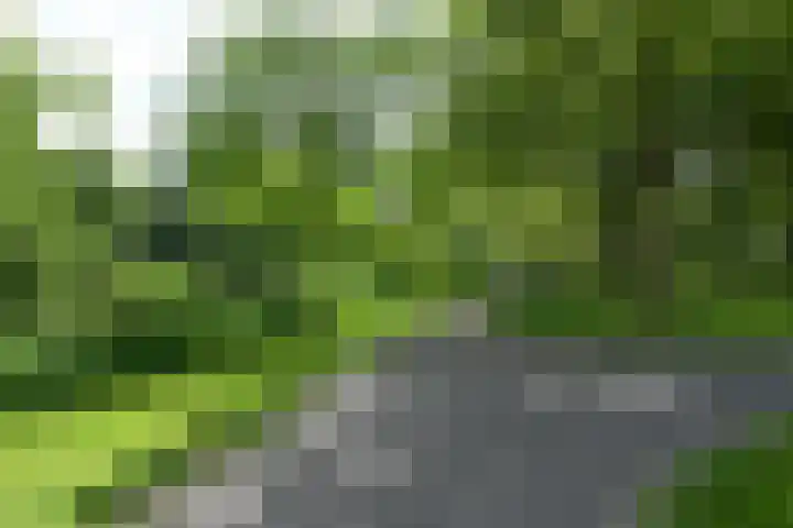 Kerkweg 38 Afferden thumbnail 16