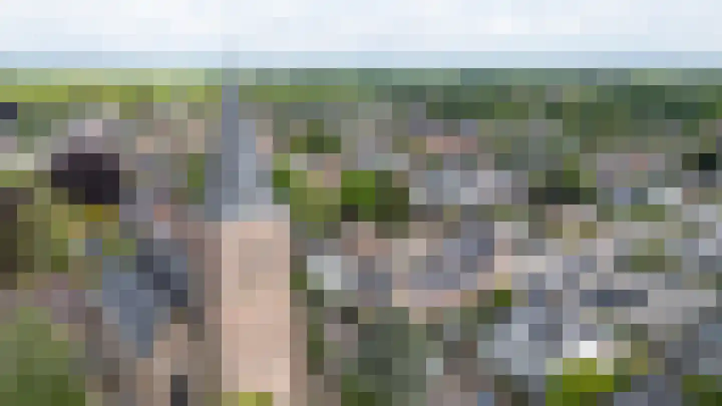 Kerkweg 38 Zeddam thumbnail 11