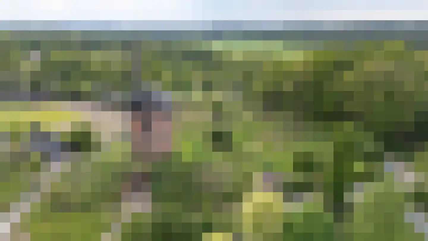 Kerkweg 38 Zeddam thumbnail 12