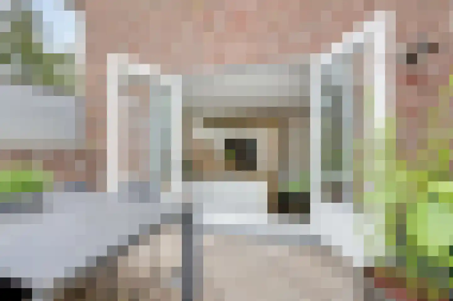 Kerkweg 38 Zeddam thumbnail 45