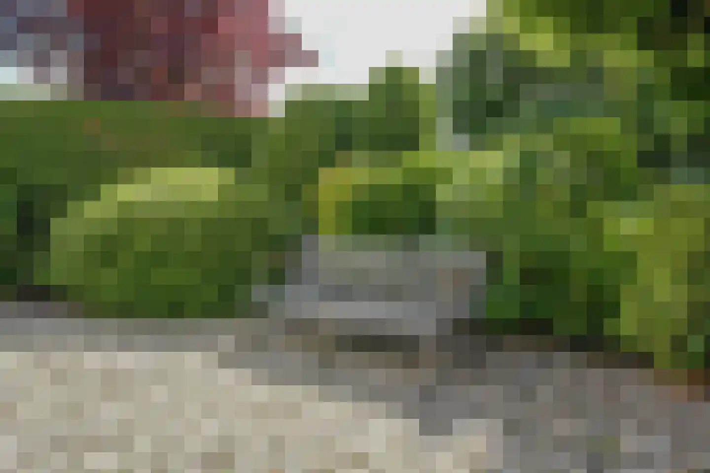 Kerkweg 39 Wognum thumbnail 10