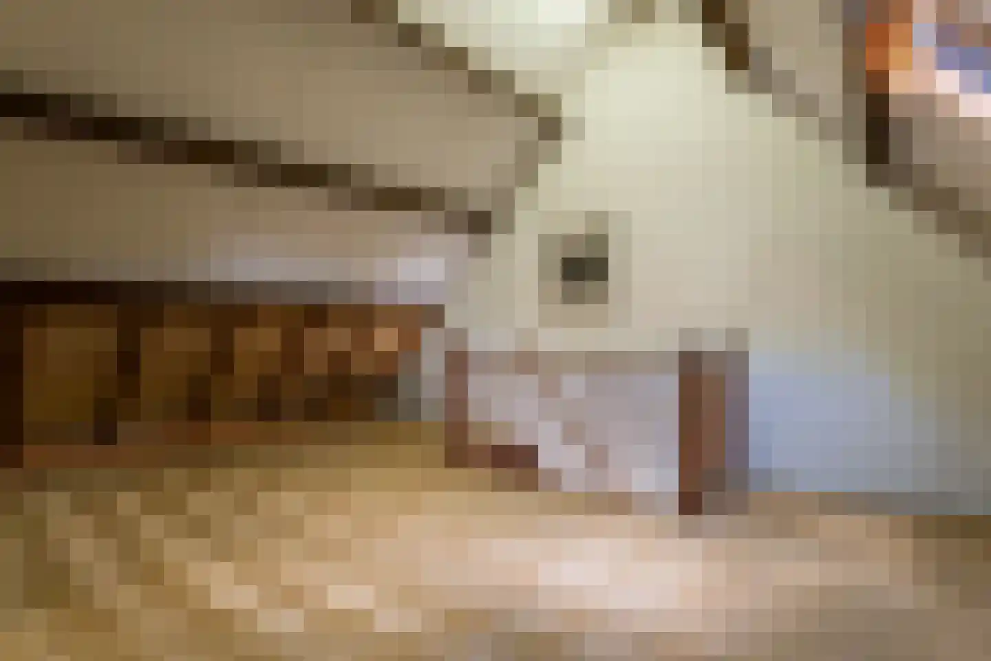 Kerkweg 39 Wognum thumbnail 36