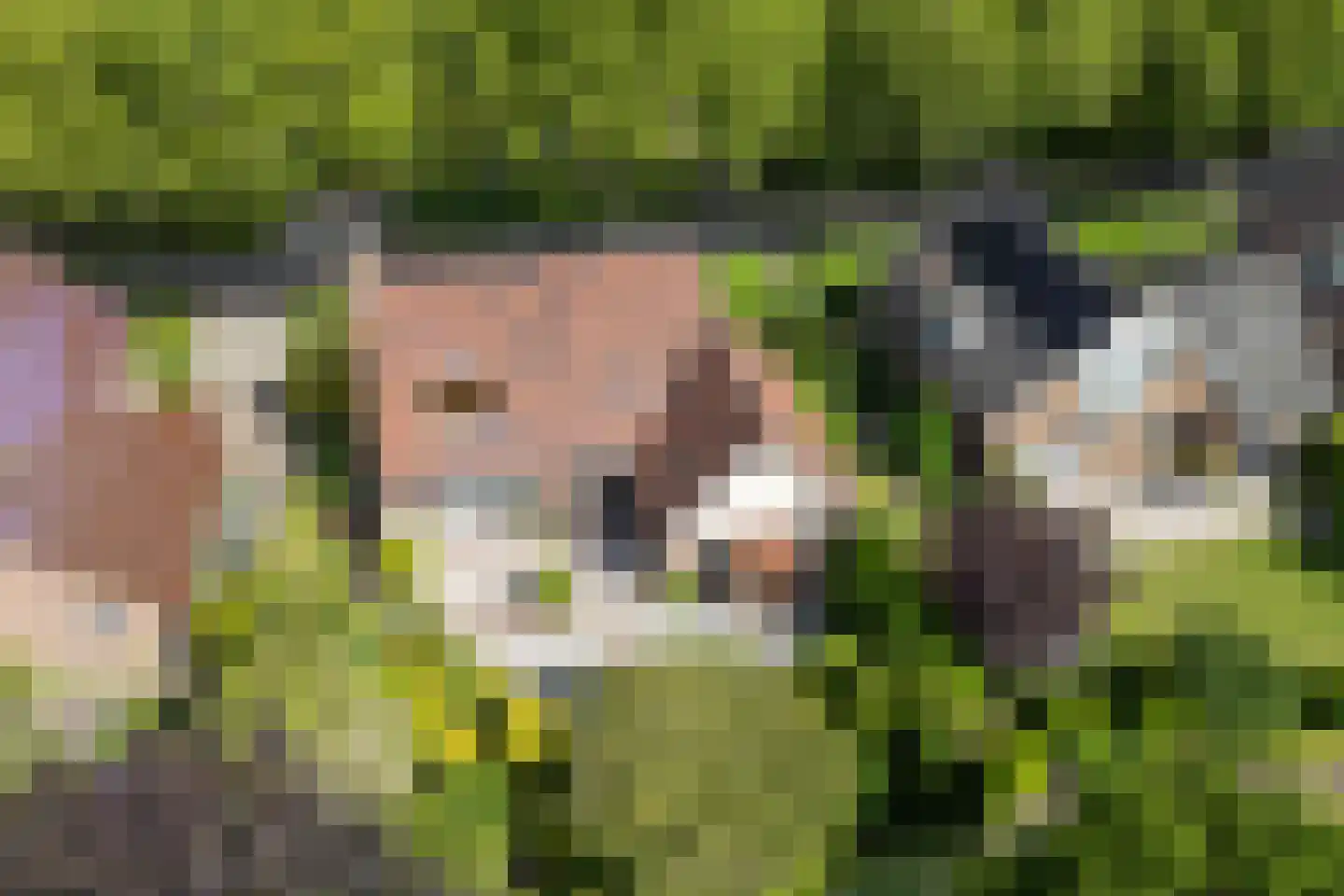 Kerkweg 39 Wognum thumbnail 4