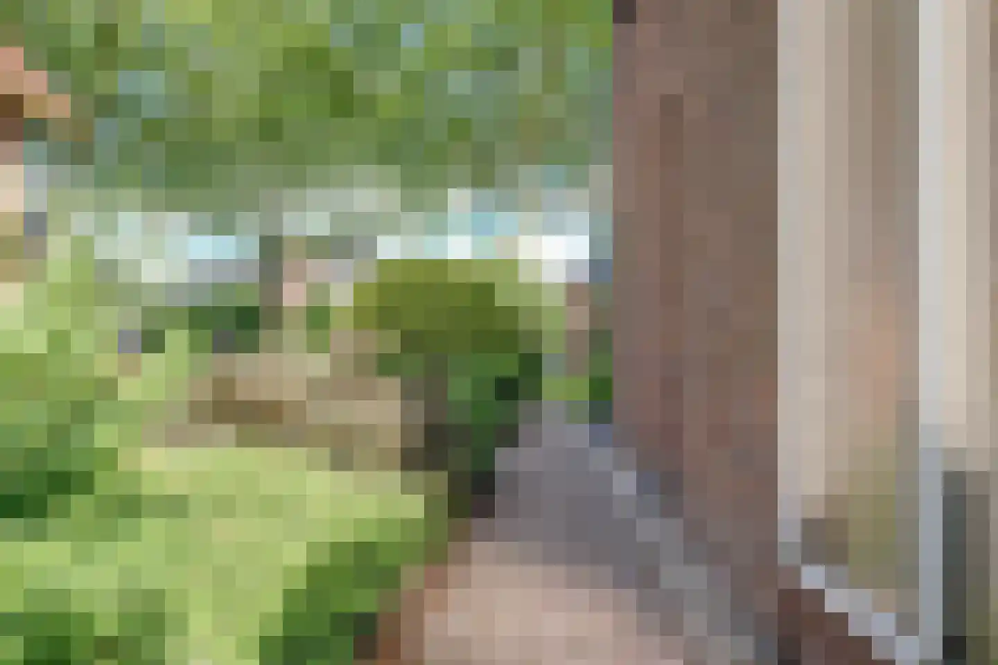 Kerkweg 39 Wognum thumbnail 63