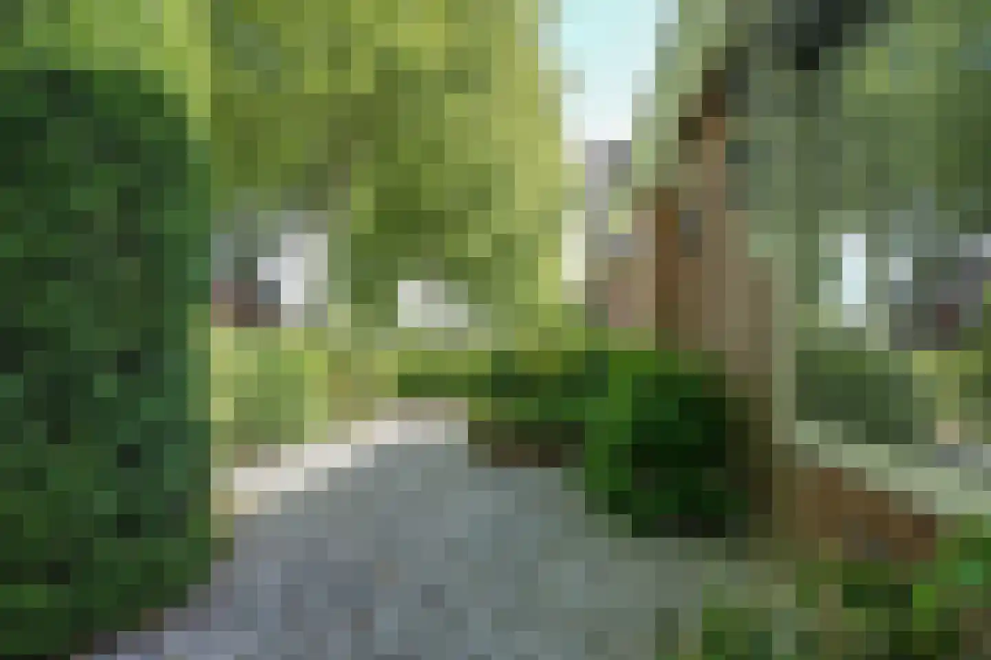 Kerkweg 39 Wognum thumbnail 64
