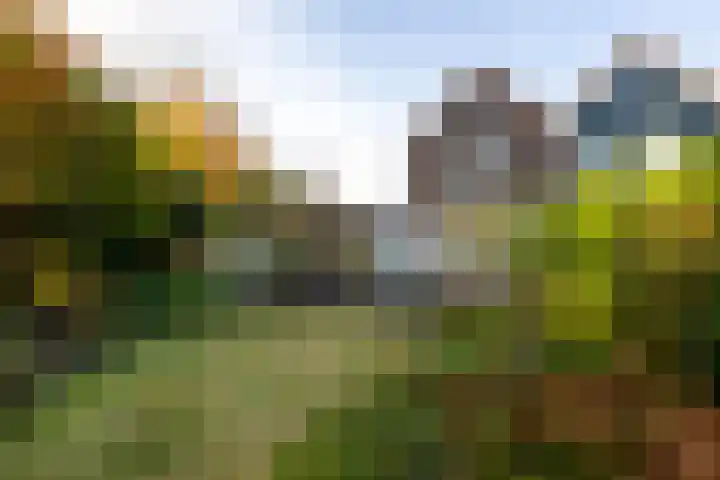 Kerkweg 4 a Brandwijk thumbnail 27