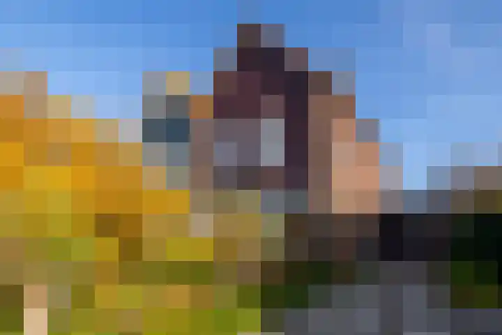 Kerkweg 4 a Brandwijk thumbnail 28