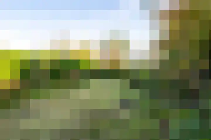 Kerkweg 4 a Brandwijk thumbnail 29