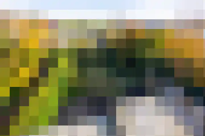 Kerkweg 4 a Brandwijk thumbnail 30