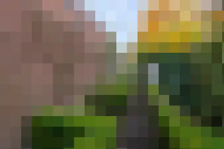 Kerkweg 4 a Brandwijk thumbnail 32