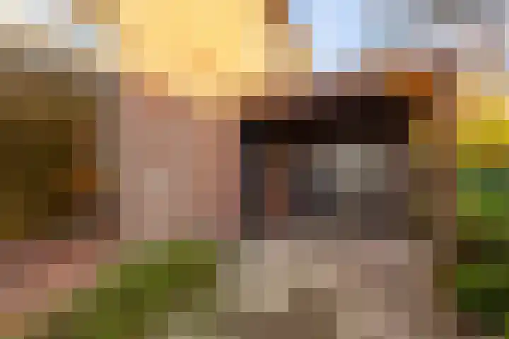 Kerkweg 4 a Brandwijk thumbnail 33