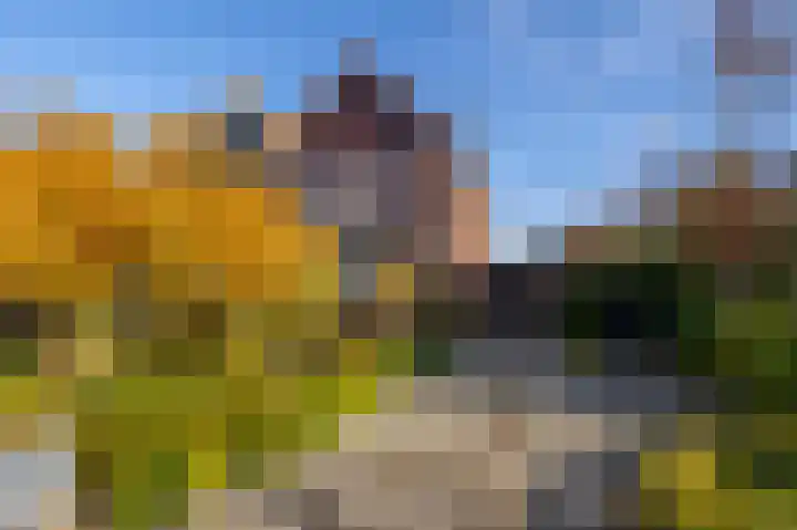 Kerkweg 4 a Brandwijk thumbnail 34