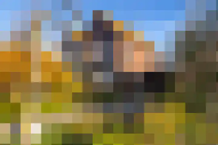 Kerkweg 4 a Brandwijk thumbnail 38