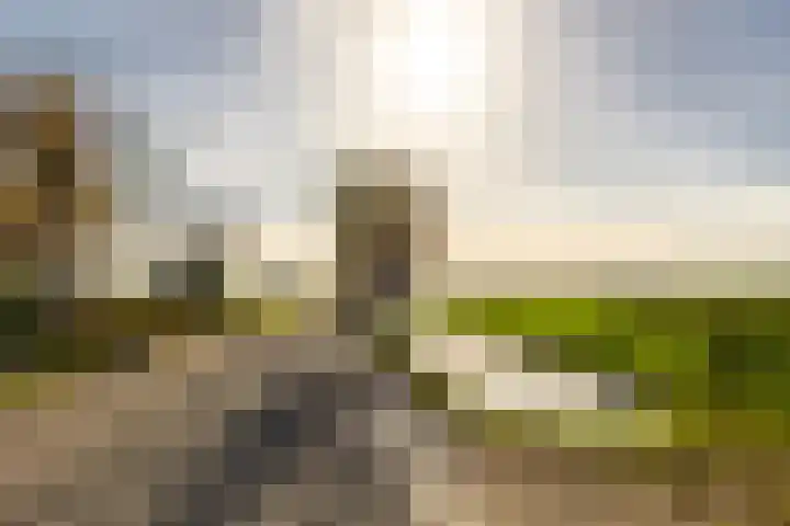 Kerkweg 4 a Brandwijk thumbnail 39