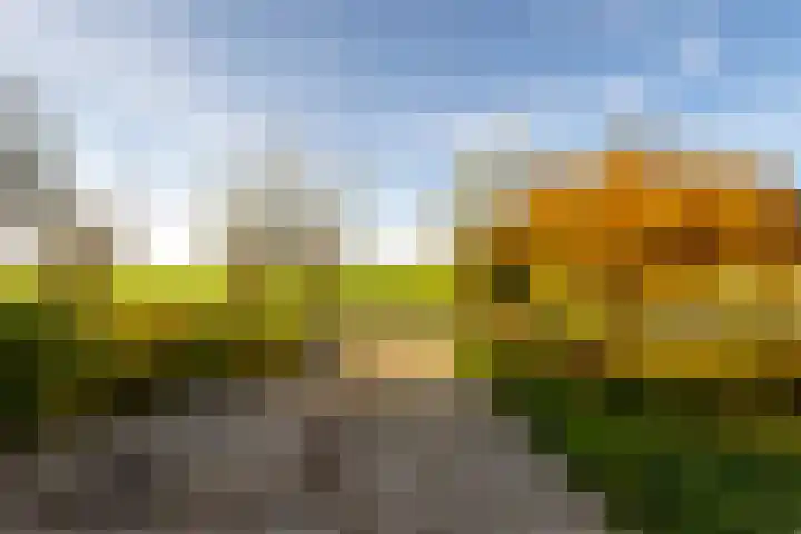Kerkweg 4 a Brandwijk thumbnail 4