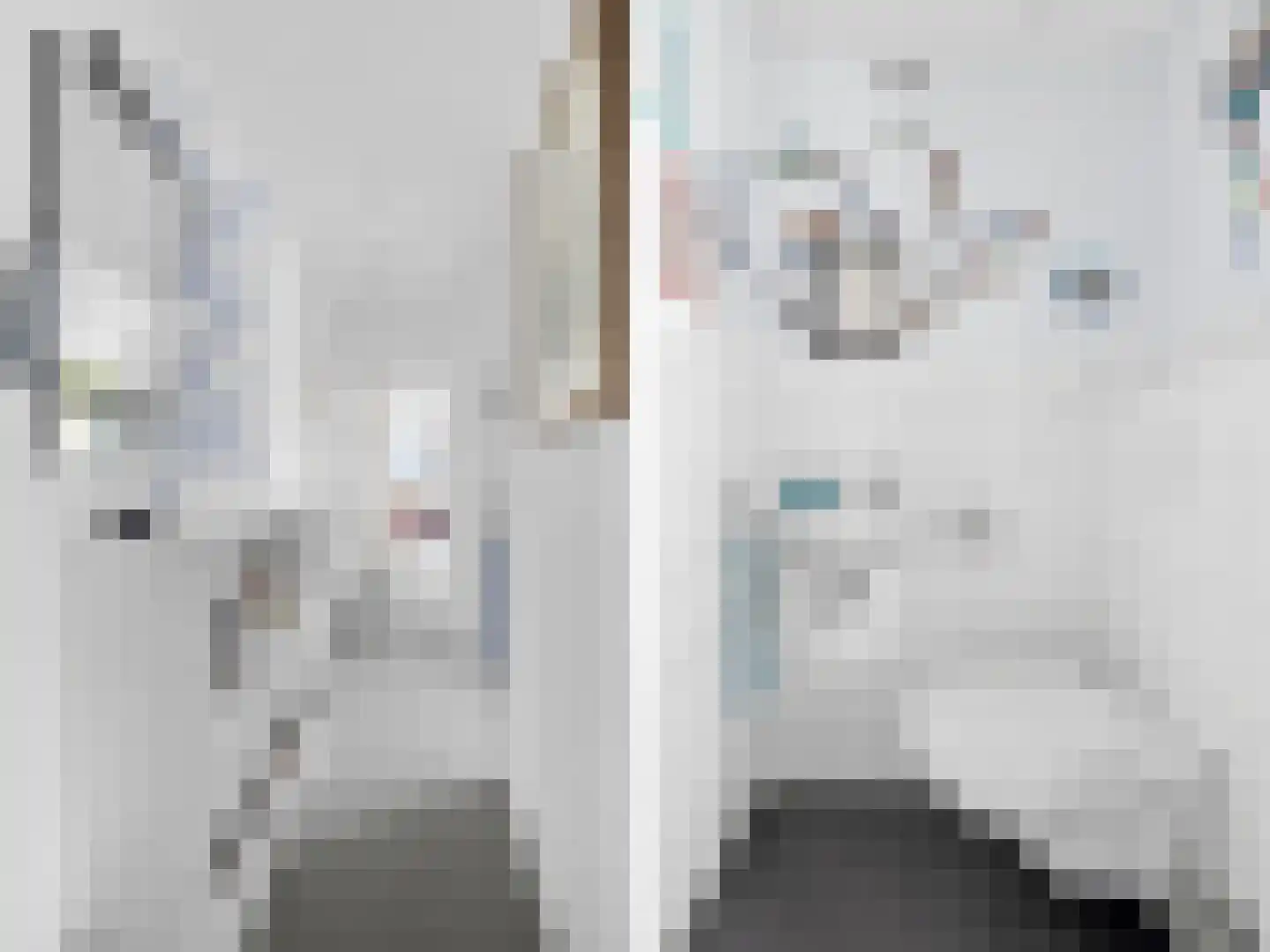 Kerkweg 4 A Heelsum thumbnail 15